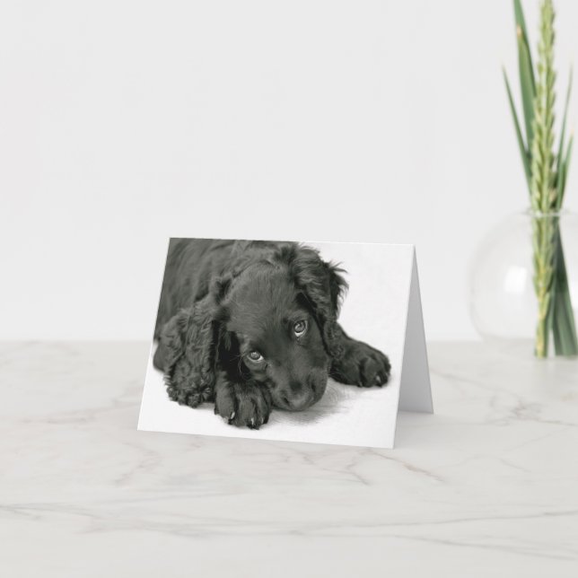 Sehr Niedliche Welpe Karte (Vorderseite)