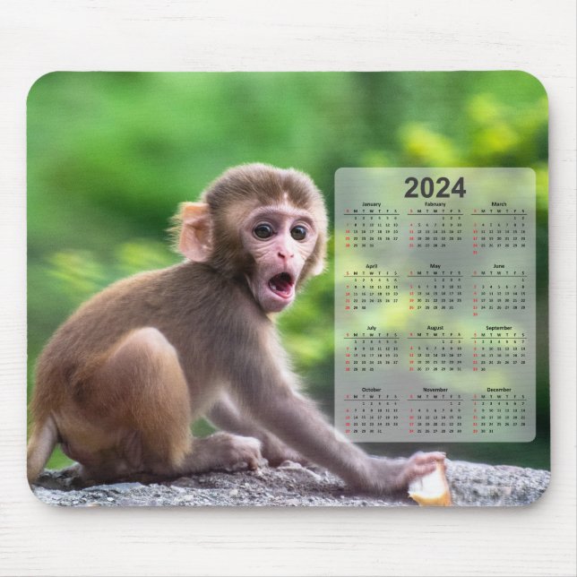 Sehr Niedlicher Affe 2024 Kalender Mousepad (Vorne)