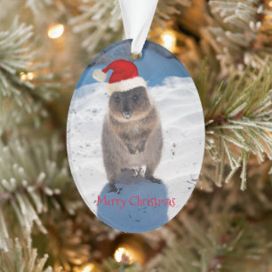 Sehr niedlicher Quokka Frohe Weihnachten Ornament