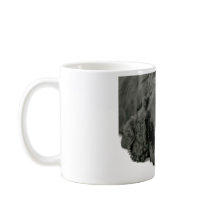 Sehr niedlicher Welpe