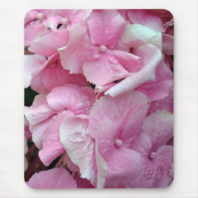 Sehr rosa Hydrangeas Mousepad (Vorne)