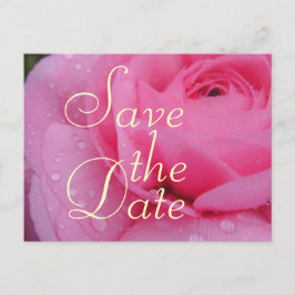 Sehr rosa Save the Date Rose Ankündigungspostkarte