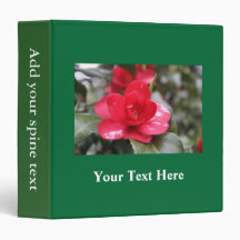 Sehr schöne Frühling, Sommer rosa Azalea Blume.