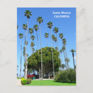 Sehr schöne Santa Monica Postcard! Postkarte