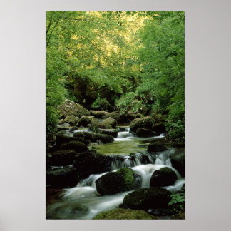 Sehr spezielles Waldbrandplakat. Poster