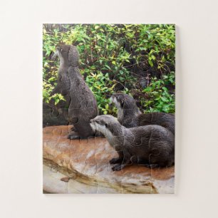 Sehr zauberhafte kleine graue Otters, Puzzle