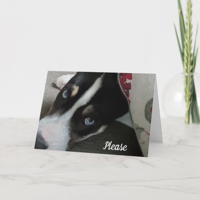 Sei bitte nicht böse auf mich, es tut mir leid karte (Vorderseite)