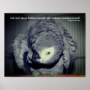 Sei du selbst Süßer Papagei Inspirierendes Zitat Poster