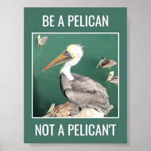 Sei ein Pelikan, kein Pelikan, kein Motivierend Po Poster