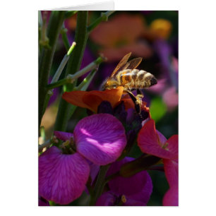 Sei eine geschäftige Biene!