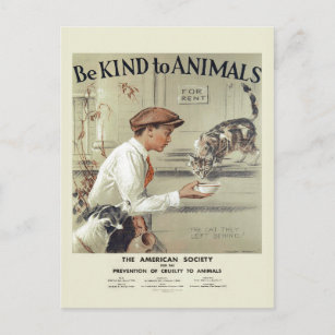 Sei freundlich zu Tieren USA Vintage Postkarte #2