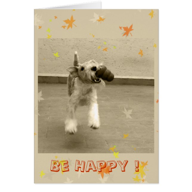 Sei glücklich! (Vorne)