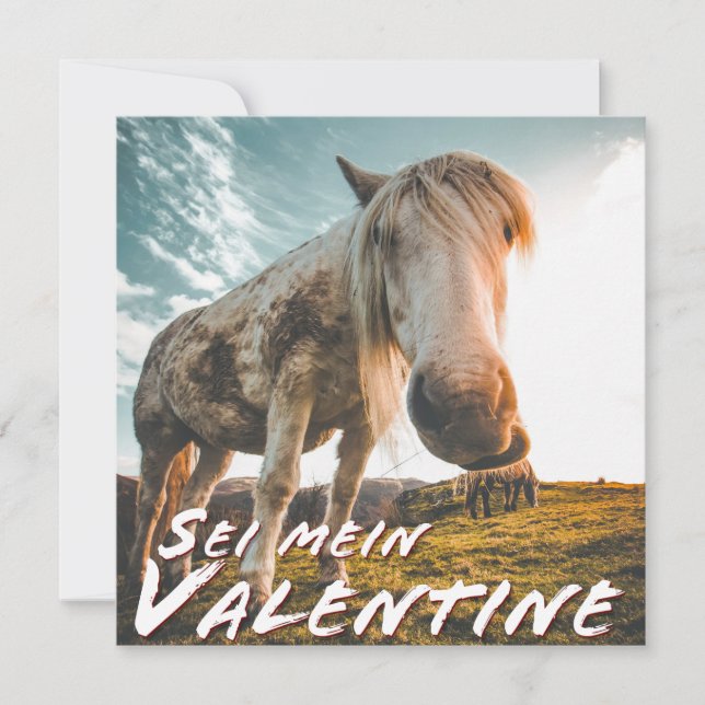 Sei mein Valentin mit schauenden Pferd (Vorderseite)