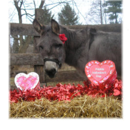 "Sei mein Valentin!" Weihnachtskarte Feiertagskarte