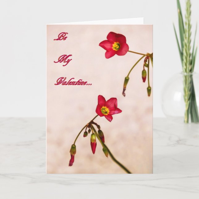 Sei mein Valentine Feiertagskarte (Vorderseite)