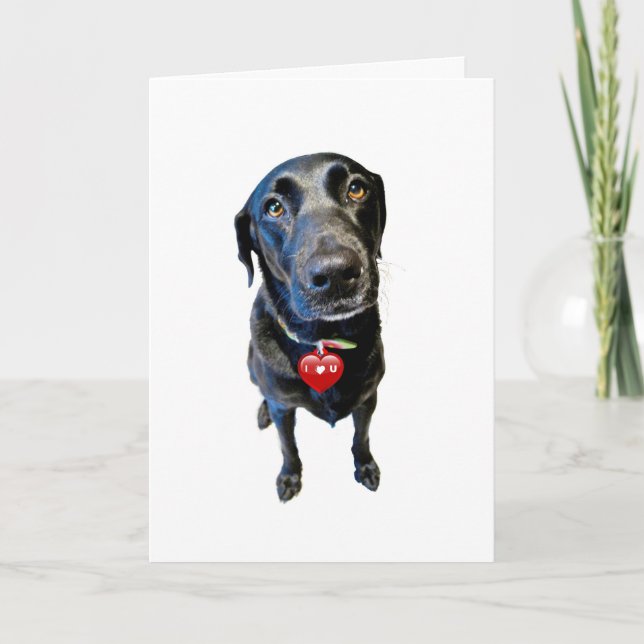 Sei mein Valentine Feiertagskarte (Vorderseite)