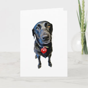 Sei mein Valentine Feiertagskarte