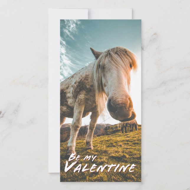 Sei mein Valentinstag mit Blick auf das Pferd (Vorderseite)