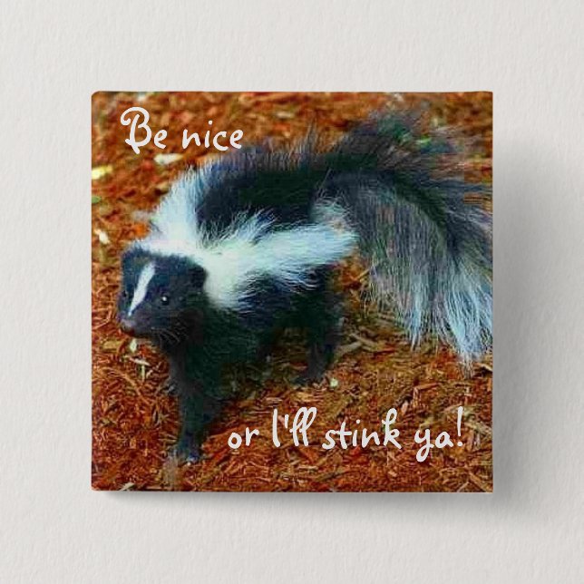 Sei nett, sonst stink ich dir!-Button. Button (Vorderseite)