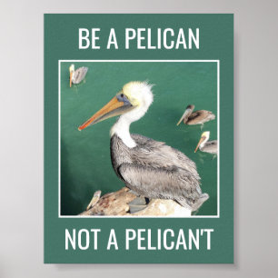 Sei Pelikan, kein Pelikan, kein Motivierend Poster