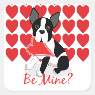 Seid ihr meins? Boston Terrier Valentine's Day Sti Quadratischer Aufkleber