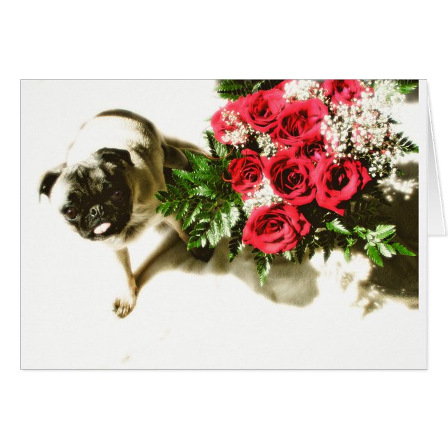 Seid mein (Vorderseite (Horizontal))