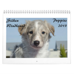 Seidene Windhound Welpen 2013 Kalender