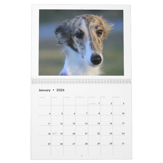 Seidene Windhound Welpen 2013 Kalender (Jan 2026)