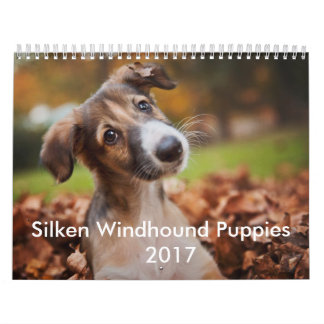 Seidener Welpen-Kalender 2017 Kalender