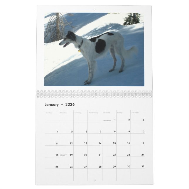 Seidenes Windhounds 2013 Kalender (Jan 2026)