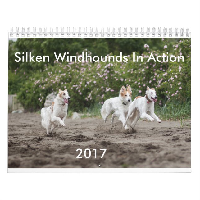 Seidenes Windhounds im Aktions-Kalender Kalender (Titelbild)