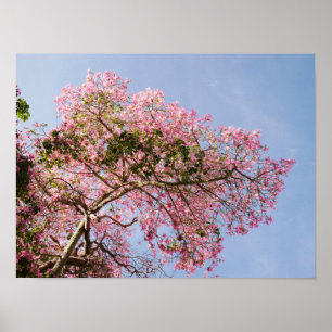Seidenfleck-Blossom Poster