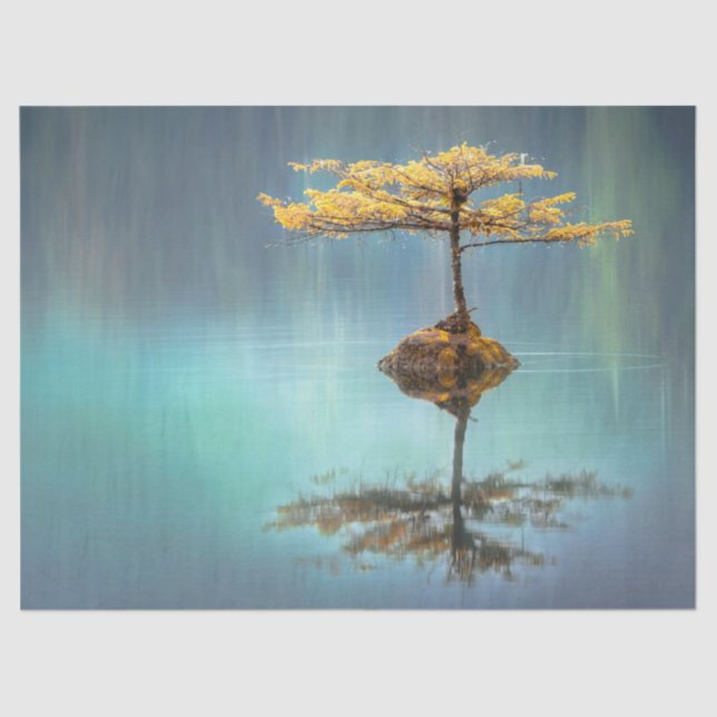 Seidenpapier: "BAUM AUF EINER INSEL"   Seidenpapier (Vorderseite)