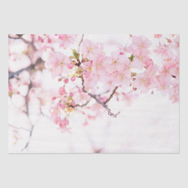 Seidenpapier: CHERRY BLOSSOMS TISSUPAPIER Seidenpapier (Vorderseite)