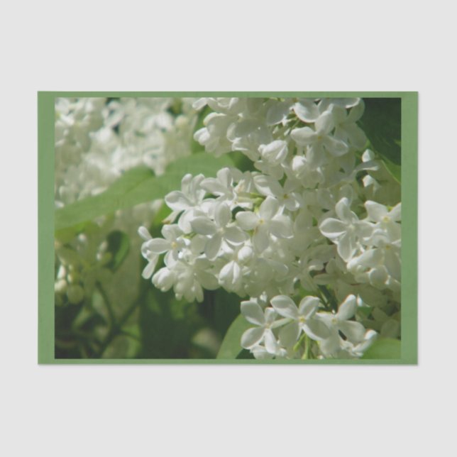 Seidenpapier für Sie spezielles Geschenk (Vorderseite)