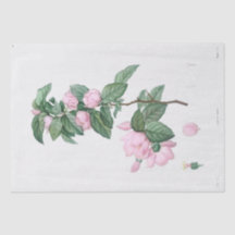 Seidenpapier: J.J. ROUSSEAU: PINK-BLUME