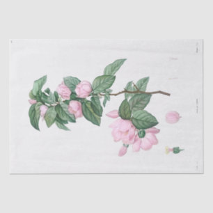 Seidenpapier: J.J. ROUSSEAU: PINK-BLUME Seidenpapier