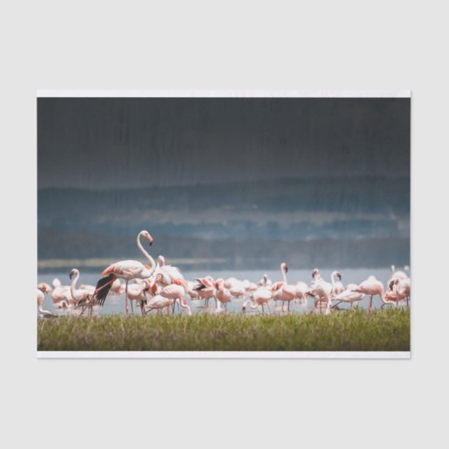 Seidenpapier mit Bild der Flamingos (Vorderseite)