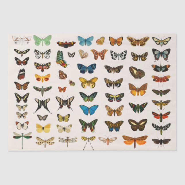 Seidenpapier: VINTAGE BUTTERFLY-CHARTA Seidenpapier (Vorderseite)