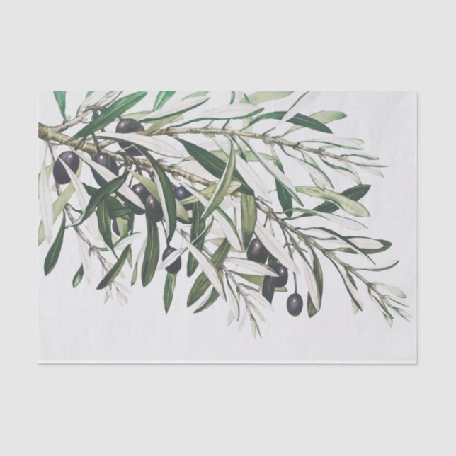 Seidenpapier: VINTAGE CHRISTMAS: OLIVE BRANCH Seidenpapier (Vorderseite)