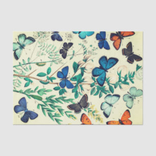 Seidenpapier-Vintager Schmetterlings-Entwurf Seidenpapier