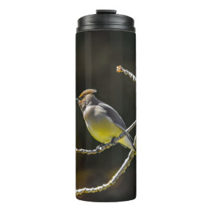 Seidenschwanz Singvogel Original Wildvogel-Foto Thermosbecher