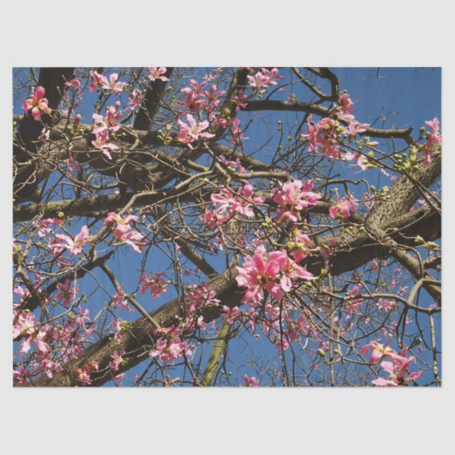 Seidenspinnpapier Seidenpapier (Vorderseite)