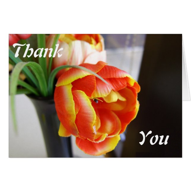 Seidentulip (Vorderseite (Horizontal))