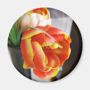 Seidentulip Magnet