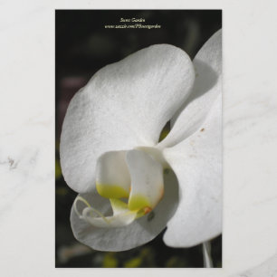 Seidenweiße Orchidee Personalisierte Staionerie Briefpapier