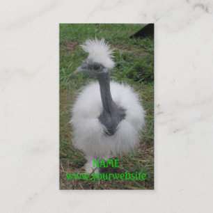 Seidiges Turken Mädchen Visitenkarte