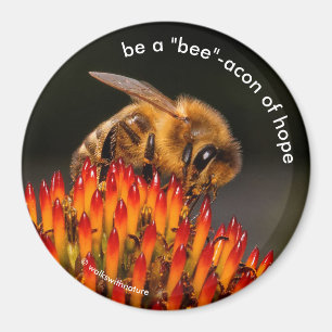 Seien Sie ein "Biene"-Akon der Hope Bee on Echinac Magnet