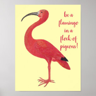 Seien Sie ein Flamingo - Spaß, inspirierend Zitat Poster