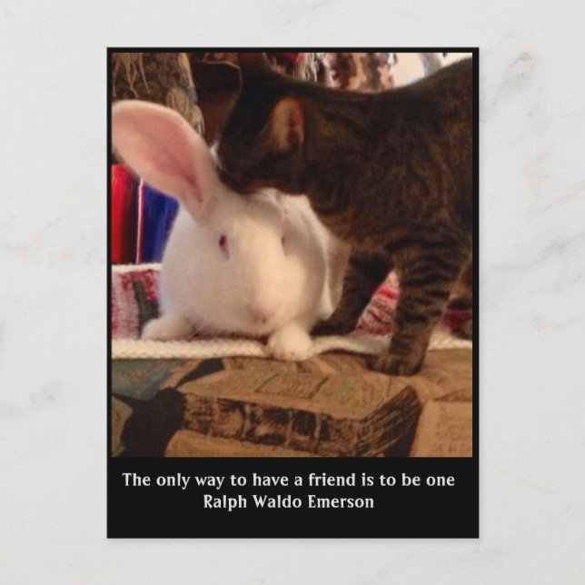 Seien Sie eine Postkarte für Freunde (Vorderseite)